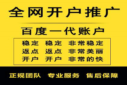 案例分析：SEM竞价代运营策略优化