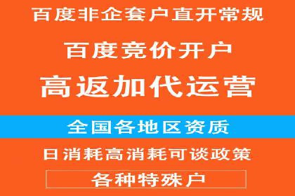 百度竞价账户搭建全攻略：案例详解与优化策略